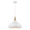 Nuvo Phoenix 1-Light Large Pendant Matte White with Burnished Brass 60/7518 - alternate 6